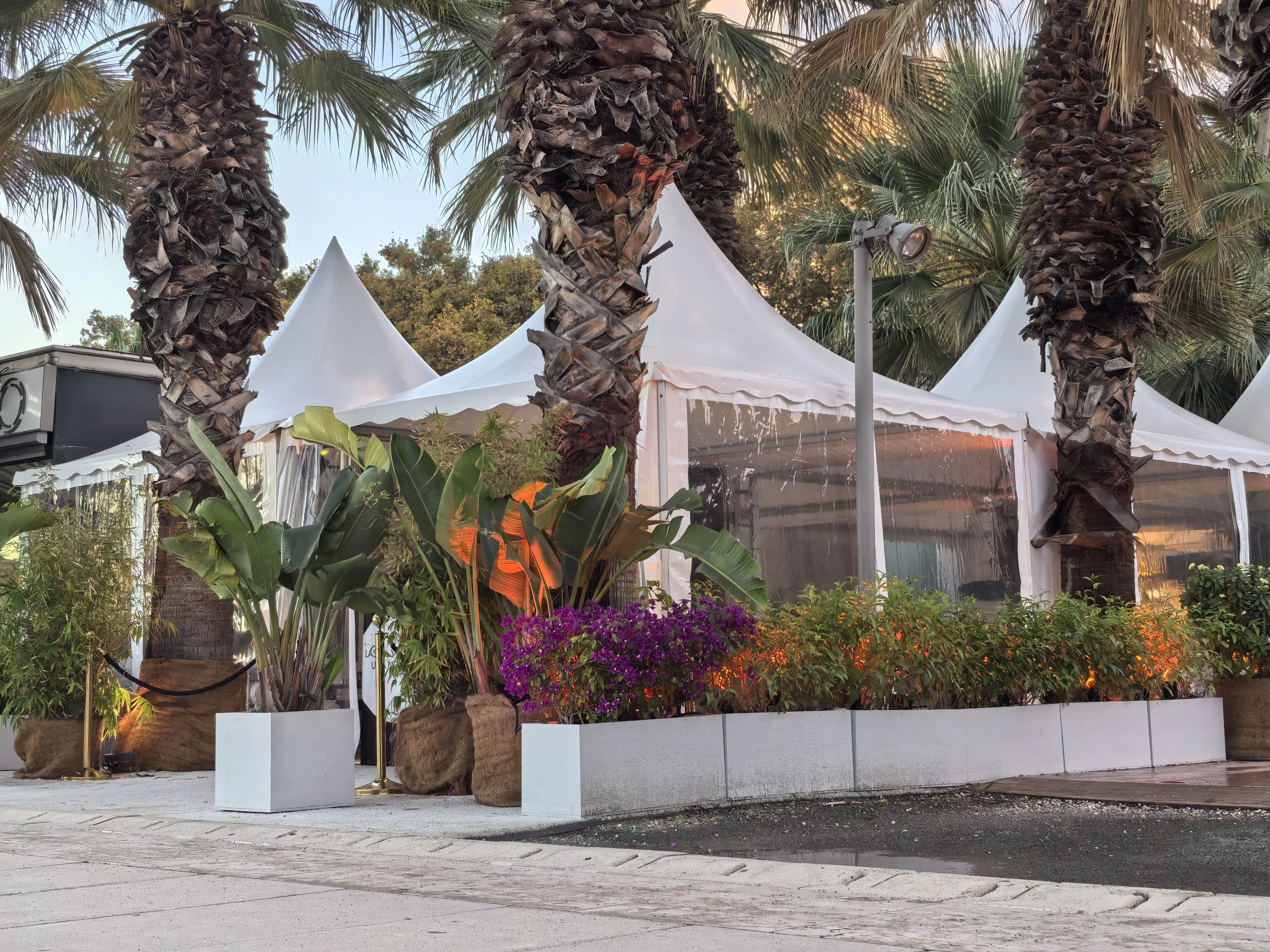 HUAWEI Pura 70 Ultra - System Aparatów - IMG_20251117_180540.webp